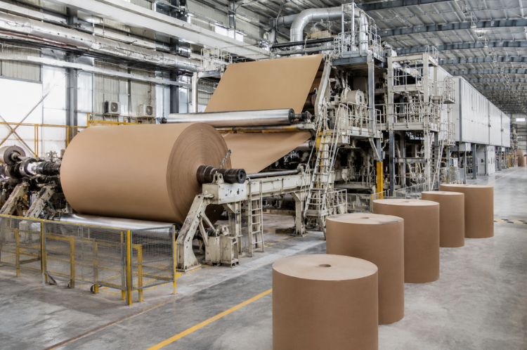 Kraft Paper Plants